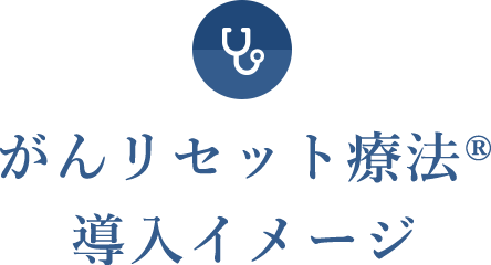 がんリセット療法®導入イメージ