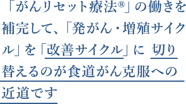 この2種の成分を補完して、身体の「発がん・増殖サイクル」を「改善サイクル」に切り替えるのが食道がん克服への近道です