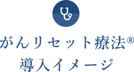 がんリセット療法®導入イメージ