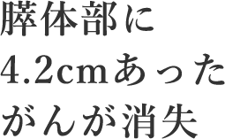 膵体部に4.2cmあったがんが消失